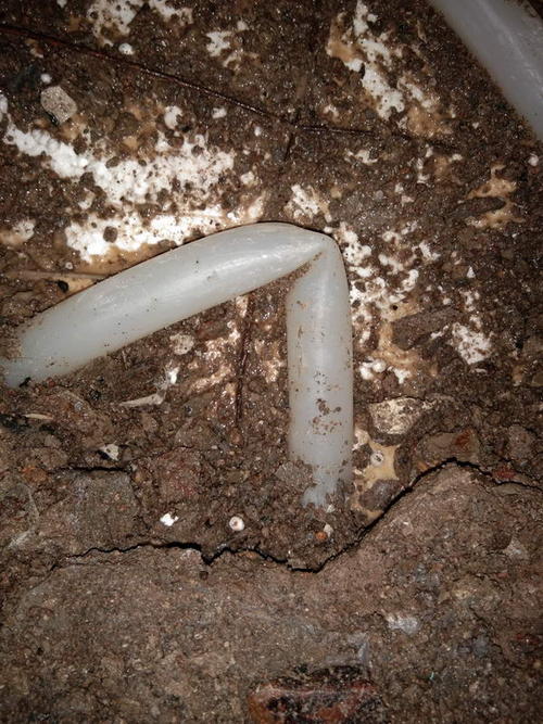 武义堵点精准查找